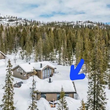 Cozy Mountain Cottage With Beautiful Views & Sauna Beitostolen Kültér fotó