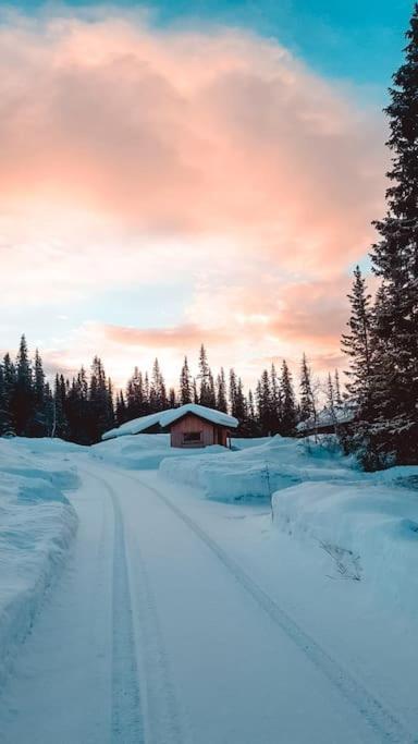 Cozy Mountain Cottage With Beautiful Views & Sauna Beitostolen Kültér fotó